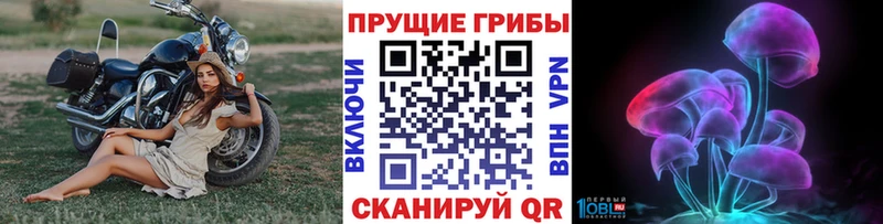 сколько стоит  Аткарск  Псилоцибиновые грибы GOLDEN TEACHER 